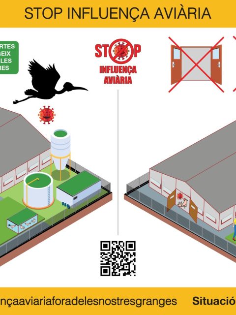 stop_influenca_aviaria_page-0001